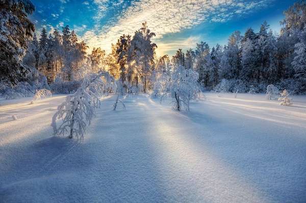 Потрясающие зимние фотографии!