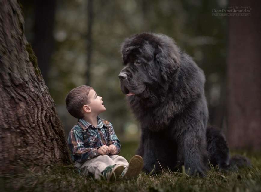 «Маленькие дети и их большие собаки» Энди Селиверстова