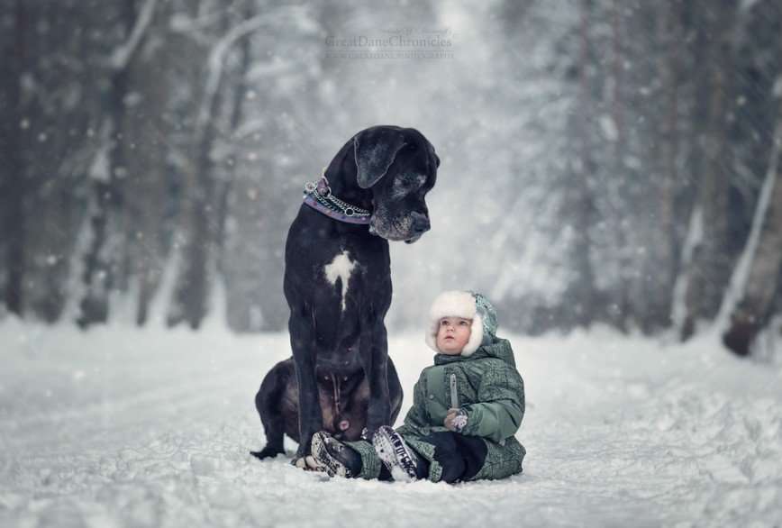 «Маленькие дети и их большие собаки» Энди Селиверстова
