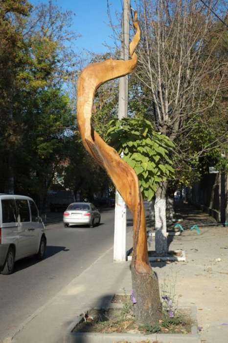 Скульптуры из деревьев в Симферополе