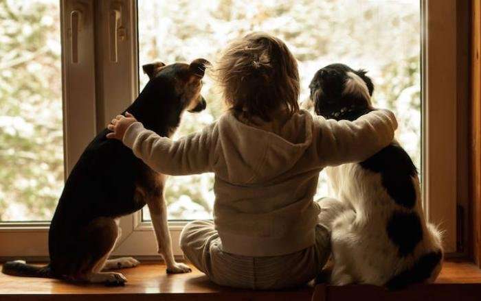 Мальчик и три собаки 