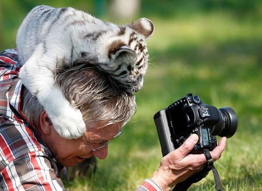 Как работают фотографы-анималисты