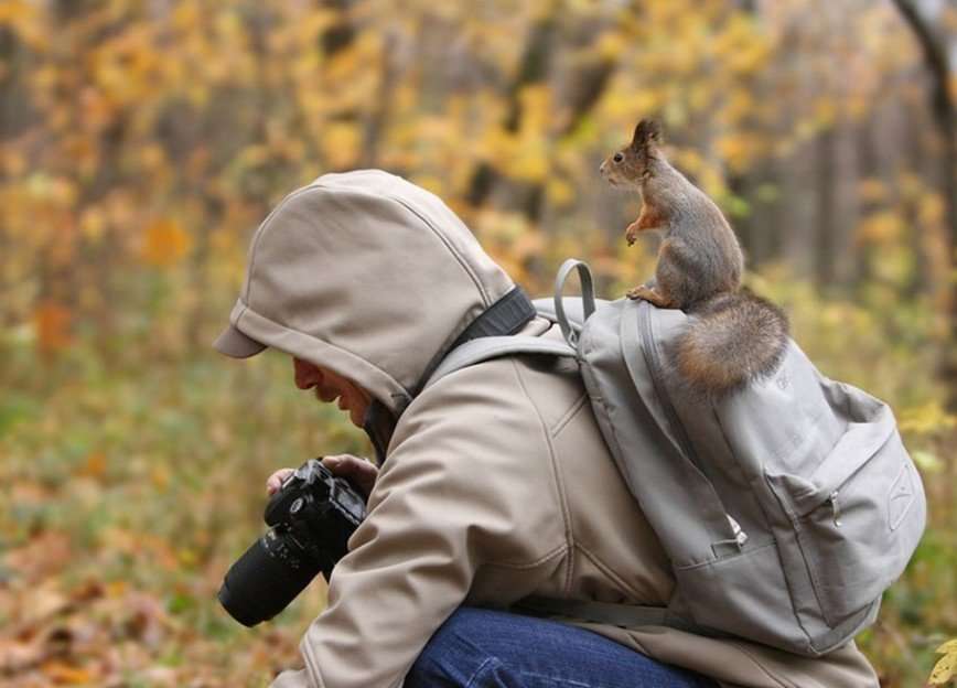 Как работают фотографы-анималисты