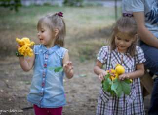 17+ простих розвиваючих іграшок своїми руками
