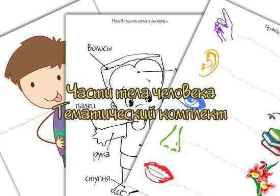 Тематична тиждень Частини тіла людини