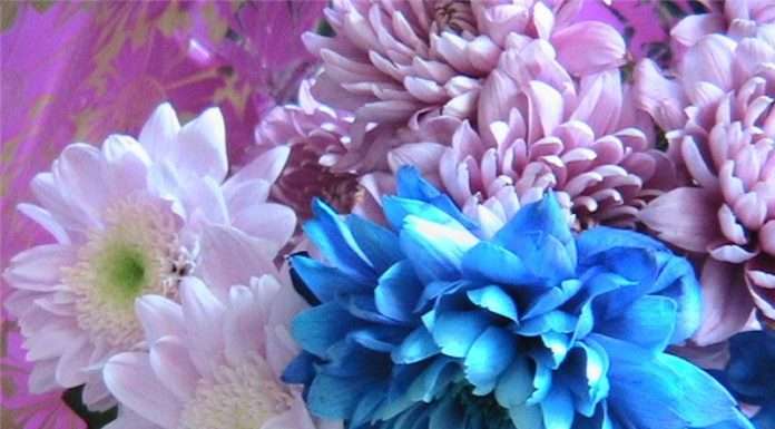 Традиція дарувати квіти