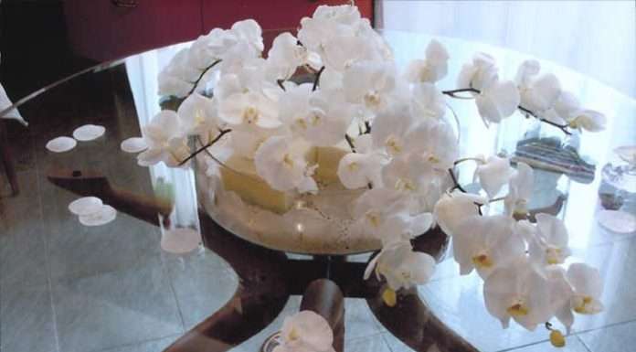 Як заощадити на оновлення інтерєру за допомогою флористики