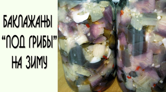 Баклажани як гриби, рецепти на зиму швидко і смачно