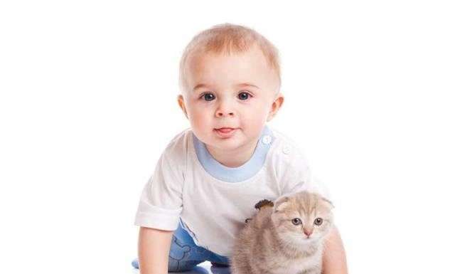 Діти і домашні тварини: запобіжні заходи