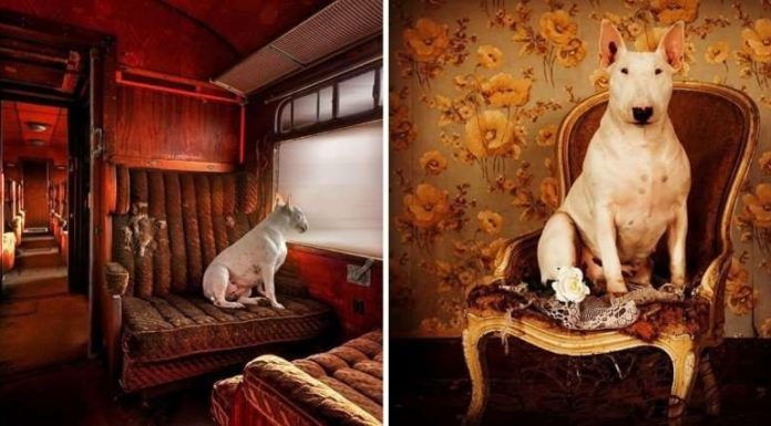 Urbex: подорожі по покинутих місцях.