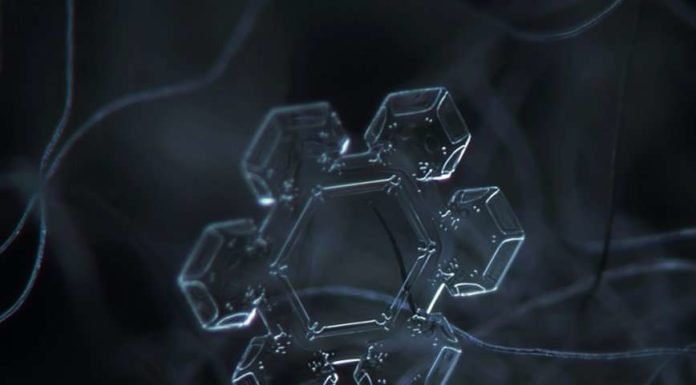 Московські сніжинки.