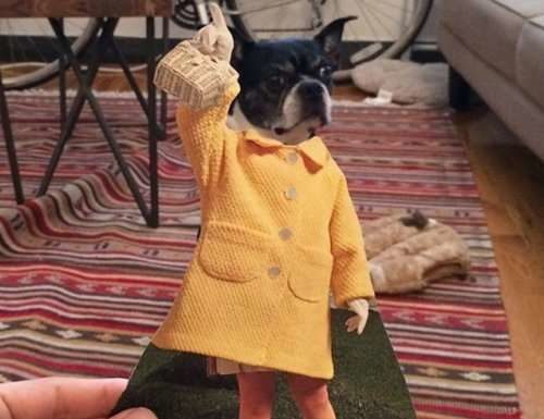 Колажі з собаками від Джей Риггио.