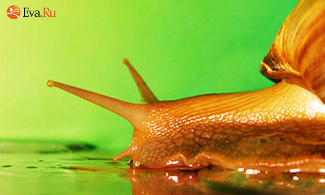 Що за профіль!.