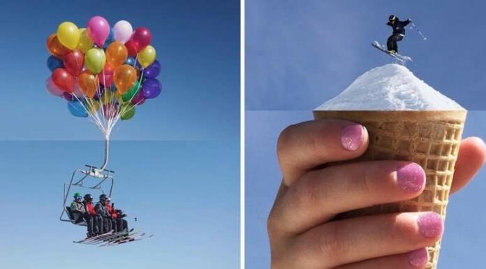 Веселі комбофото Стівена МакМеннами.