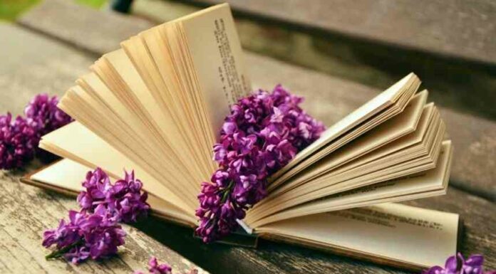 35 книг-бестселерів, які змінять ваше життя