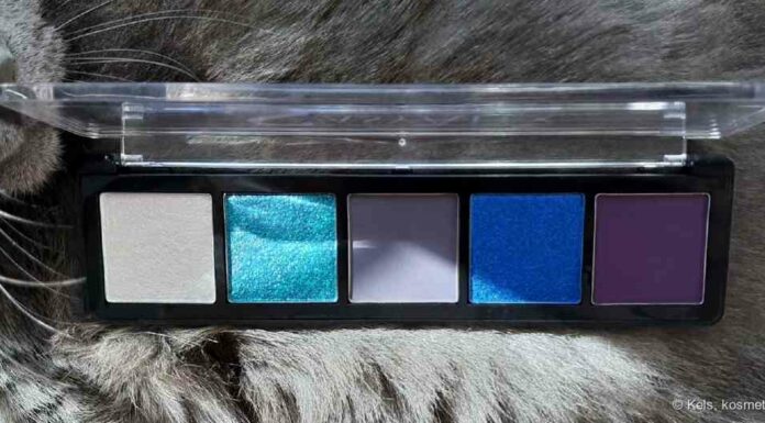 Райська пташка з кращими нетиповими холодними відтінками-e17 blue hummingbird stasyalex eyeshadow palette