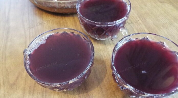 Виноградний сік на зиму