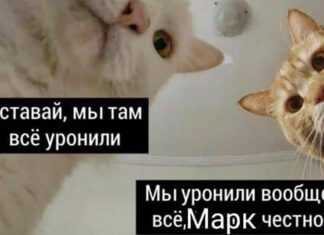 “марк, прокидайся, ми всі впустили”: 30 мемів про збій в facebook і instagram