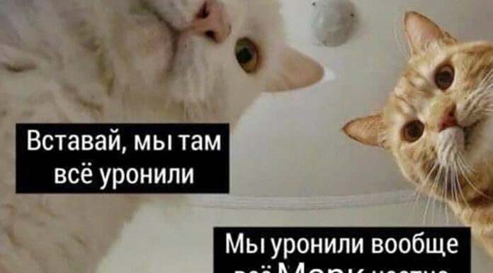 “марк, прокидайся, ми всі впустили”: 30 мемів про збій в facebook і instagram