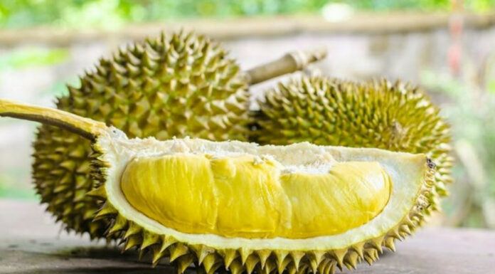 Дуріан: фрукт з пекельним запахом і божественним смаком