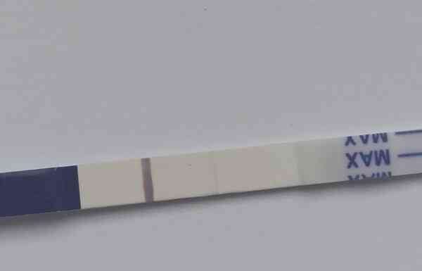 Filetest брехун?