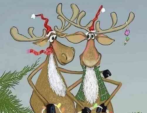 Як відзначають новий рік знаки зодіаку.