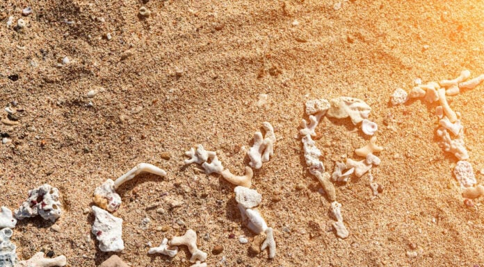 15-25 тис руб: росіян чекають дешеві авіаквитки в єгипет