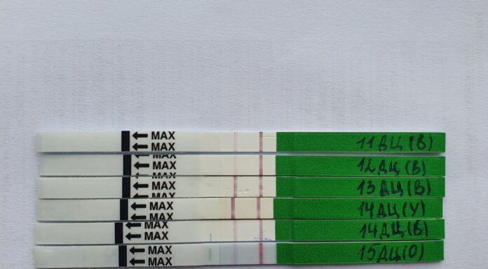 Овуляція 1000% була на 14дц