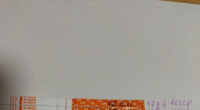 Овуляція. А по тестах типу не було.