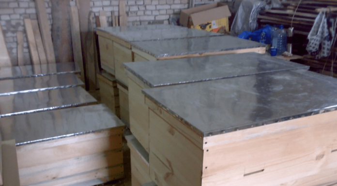 Переваги та особливості утримання бджіл у вуликах-лежаках, правила догляду