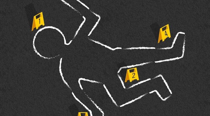 Відбитки пальців і бризки крові: як коледж готує наступну групу дослідників