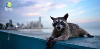 Переговори щодо клімату закінчено, фтор оголошено безпечним, єноти еволюціонують