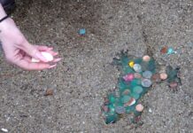 Таємниця «щурячої нори» в Чикаго розкрита: це був не щур