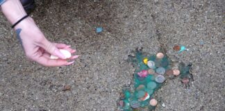 Таємниця «щурячої нори» в Чикаго розкрита: це був не щур