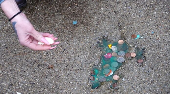 Таємниця «щурячої нори» в Чикаго розкрита: це був не щур