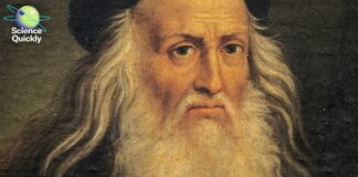 Hledání DNA Leonarda da Vinciho: Forenzní věda a génius renesance