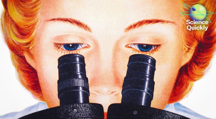 Кетрін Берр Блоджетт: Забутий піонер нанотехнологій