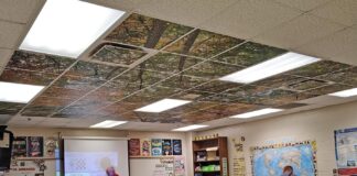 Повернення природи в клас: як біофільний дизайн перетворює класи