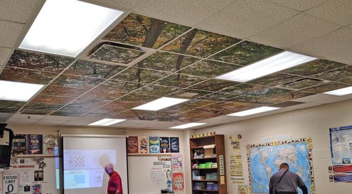 Повернення природи в клас: як біофільний дизайн перетворює класи