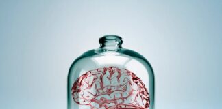 Чи може існувати свідомість без тіла? Мистецький експеримент із мозком у колбі