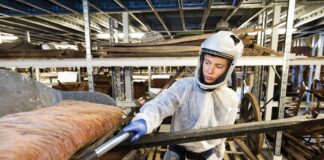 Екстремофільні цвілі загрожують музейним колекціям у всьому світі