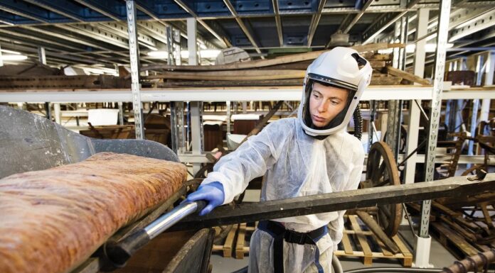 Екстремофільні цвілі загрожують музейним колекціям у всьому світі