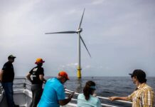 Адміністрація Трампа призупиняє офшорні вітрові проекти через невизначені ризики для безпеки