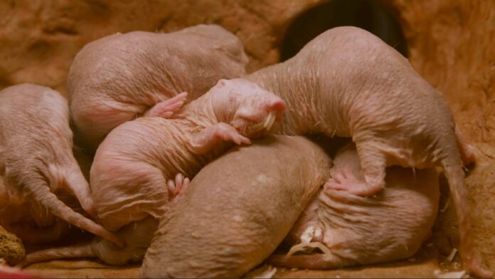 162a362e-587d-42b6-bfd8-97f12ce8276b