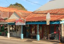 Ілюзія Можливостей: Як T.M. Landry Експлуатувала Студентів та Їх Мрії