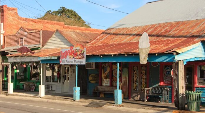 Ілюзія Можливостей: Як T.M. Landry Експлуатувала Студентів та Їх Мрії