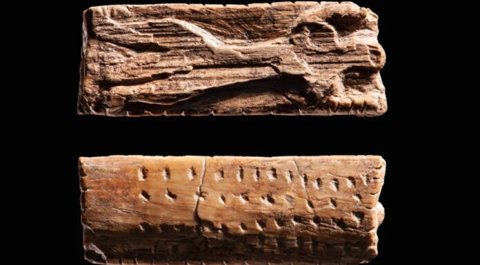 40 000-річні різьблення вказують на те, що писемність виникла набагато раніше, ніж вважалося раніше