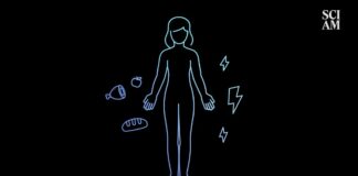 Diabète de type 1 : comment le système énergétique du corps échoue