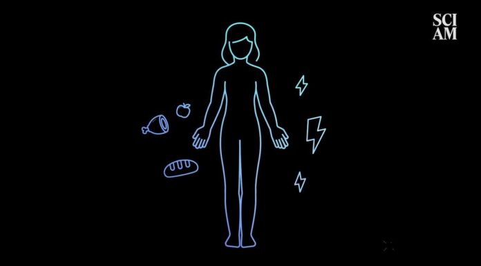 Як насправді працює діабет 1 типу?