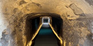 The Colosseum’s Hidden Passage: Where Emperors Walked and History Echoes